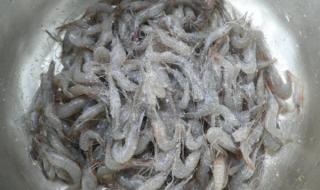 河虾最好吃的六种做法 河虾的做法大全